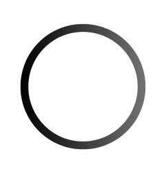 joint torique o-ring