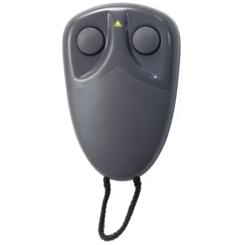 Télécommande 2 canaux 433 MHz MPSTP2E