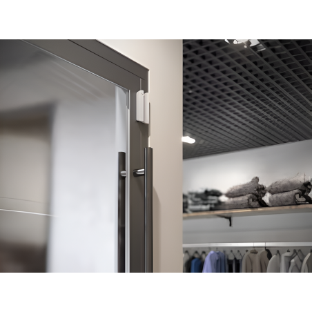 AJAX - Détecteur d'ouverture et chocs DoorProtect Plus Jeweller (blanc)