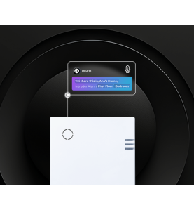 Module vocal LightSYS AIR centrale Wi-Fi Risco - Confodis